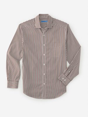 Club Classic Fit Shirt in Bengal Stripe