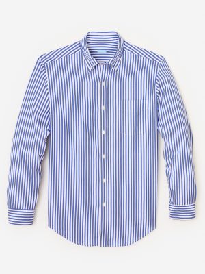 Collis Classic Fit Shirt in Bengal Stripe