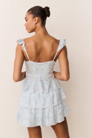 Ruffle Mini Floral Wreath Print Skirt